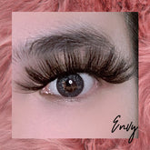 Envy - Lashpire